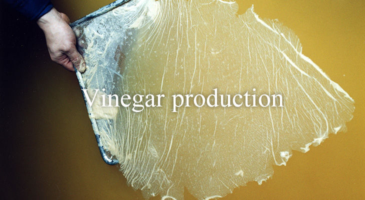 Vinegar production